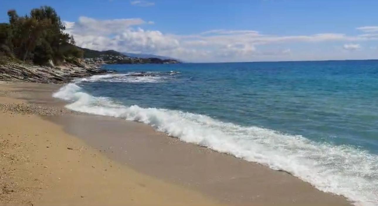Appartamento Olivia -Ελιά PalaiónTsiflíkion Esterno foto
