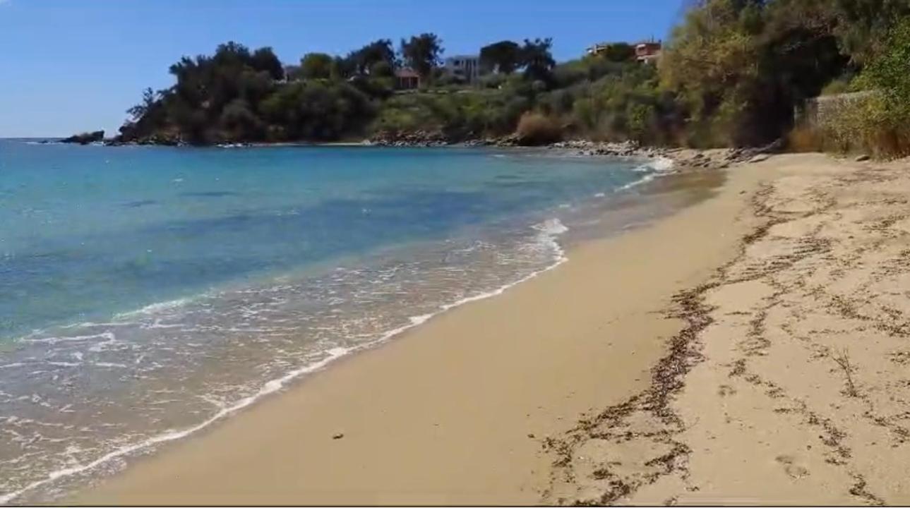 Appartamento Olivia -Ελιά PalaiónTsiflíkion Esterno foto