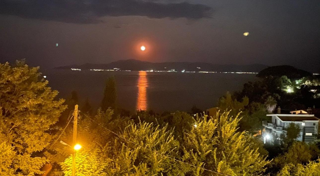Appartamento Olivia -Ελιά PalaiónTsiflíkion Esterno foto