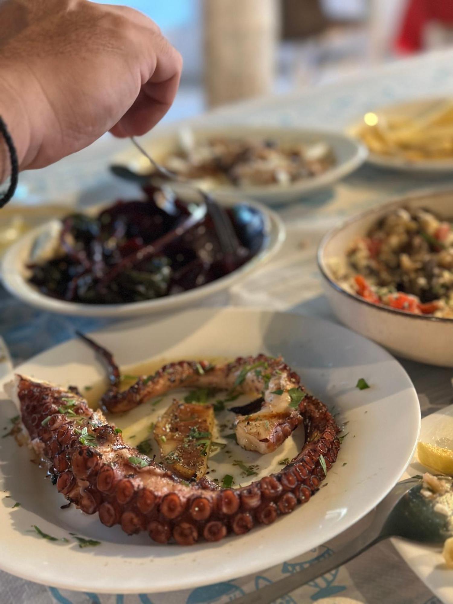Appartamento Olivia -Ελιά PalaiónTsiflíkion Esterno foto