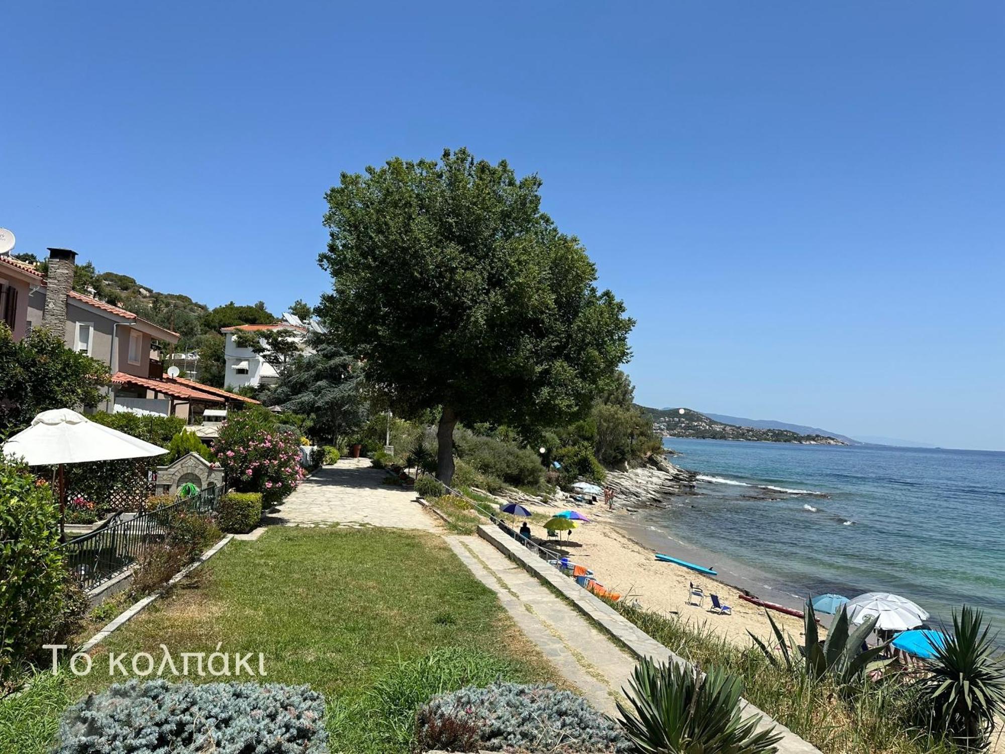 Appartamento Olivia -Ελιά PalaiónTsiflíkion Esterno foto