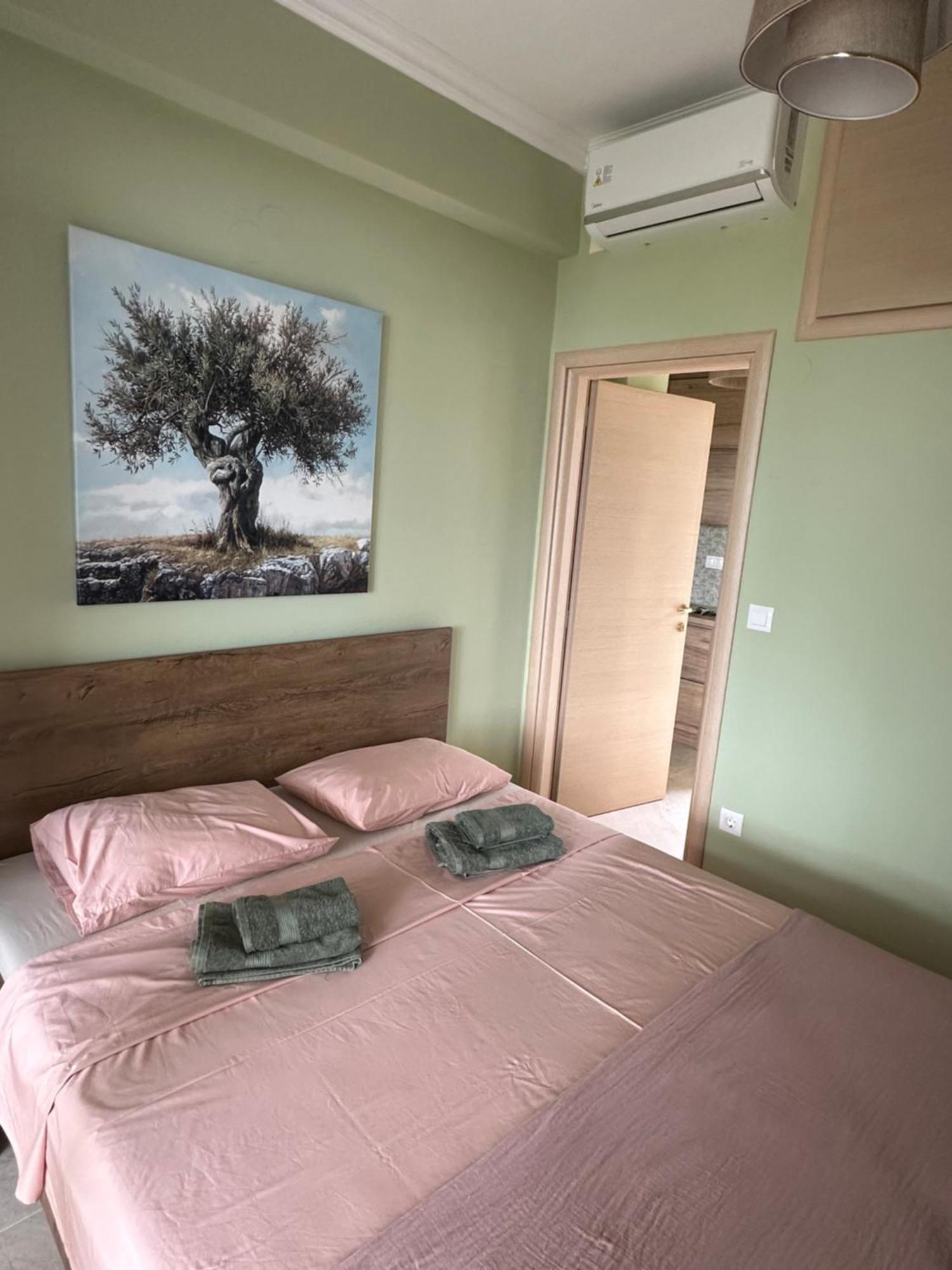 Appartamento Olivia -Ελιά PalaiónTsiflíkion Esterno foto
